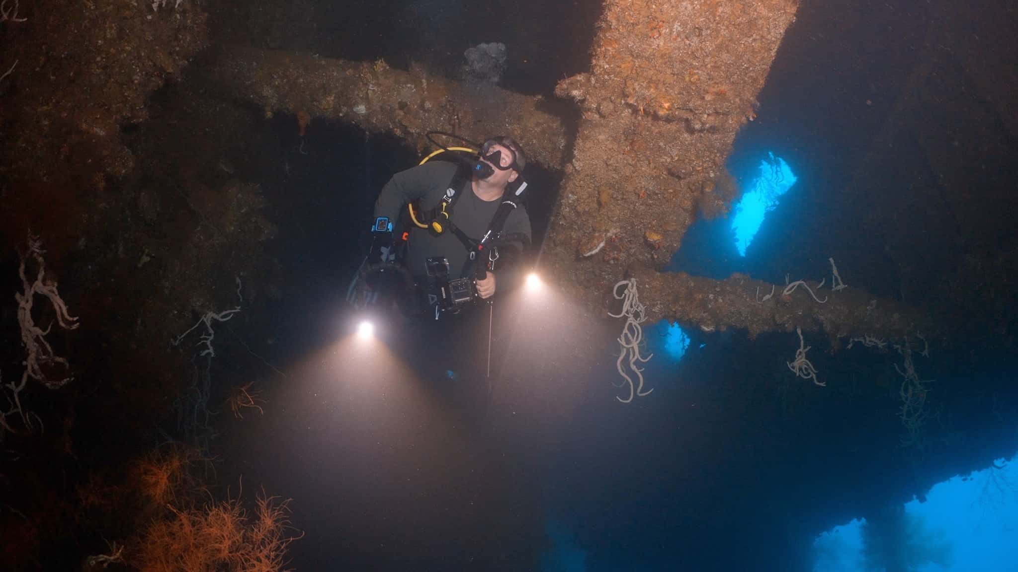 Emperor Divers