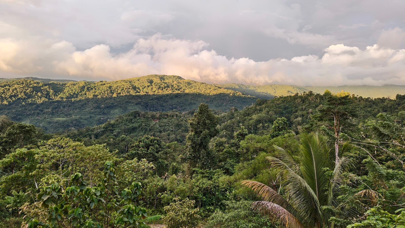 Central Highlands Tour