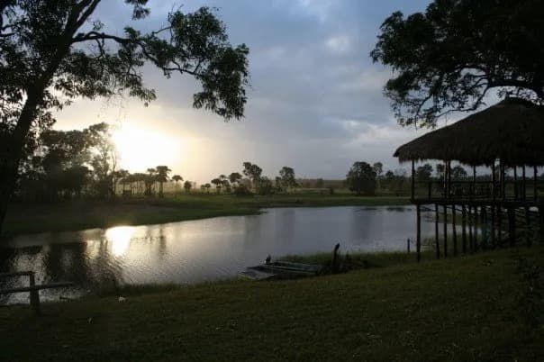 Bensbach Wildlife Lodge — photo 2