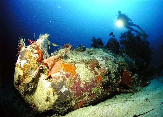 Dive Gizo & Adventure Sports — photo 5