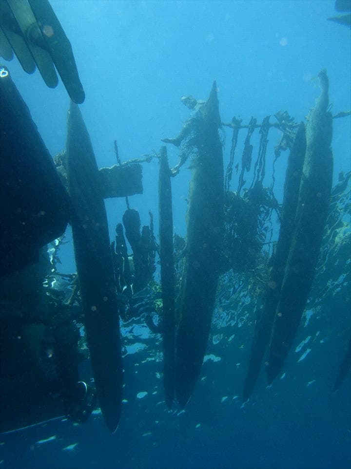 Dive Munda — photo 2
