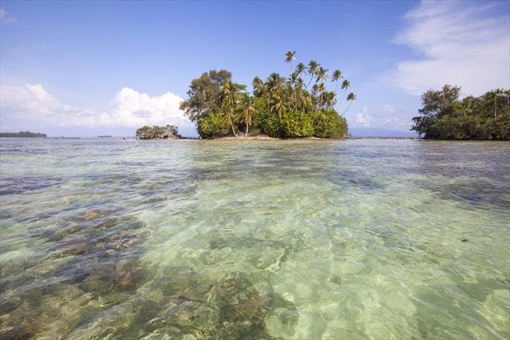 Dive Munda — photo 6
