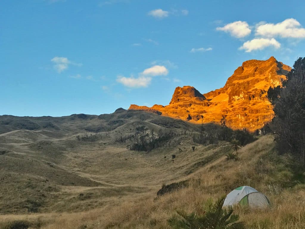 Mount Giluwe Summit Trek — photo 4