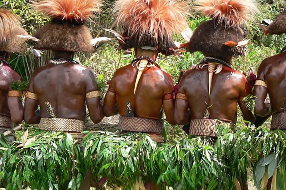 PNG Journey