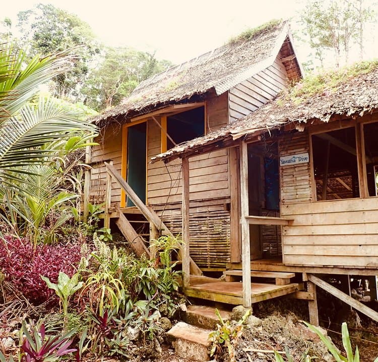 Yawana Dive — photo 2