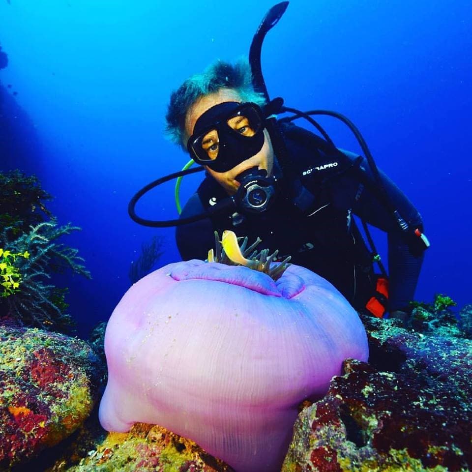 Yawana Dive